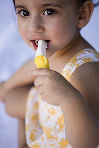 Image of Baby Banana Original w /o Handles Training Toothbrush for Toddlers ages1-3, Protects Young Mouths that are Still Learning the Habits of Oral Care, Family-Owned Business