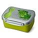 Carl Oscar szwedzkie pudełko na lunch – Bento Box pojemnik na lunch z akumulatorem chłodzącym i sztućcami utrzymuje kilka godzin w niskiej temperaturze, 17 x 12,5 x 8 cm, kolor zielony