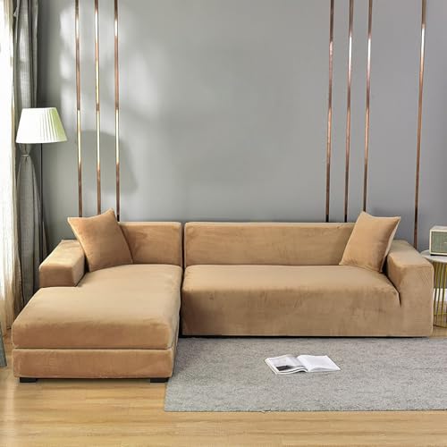 jo[Txxbg\t@[Jo[ \tgvbVXbvJo[ 1`5l|&R[i[\t@[p ~ re[WfUC Lk J[L 235`300 cmɓKB