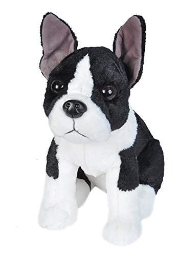 Wild Republic Boston Terrier Plush, Stuffed Animal, Plush Toy, Gifts for Kids, Cuddlekins 12 Inches