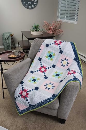 Image of Barn Star Sampler: 20 Starry Blocks and 7 Spectacular Quilts
