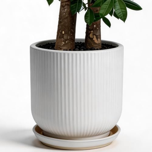 Deep Dream 12 Inch Ceramic Pots for Plants Heavy Plant Pot for Indoor Outdoor Plants Large Plant Pot with Drainage Hole and Saucer Modern Tall Flower Pot Gifts for Plant Lovers White
