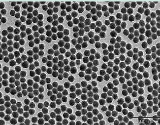 Nanopartículas de sílice coloidal Alpha Nanotech (disponibles de 20 nm a 1000 nm) (20 nm, 10 mgml)