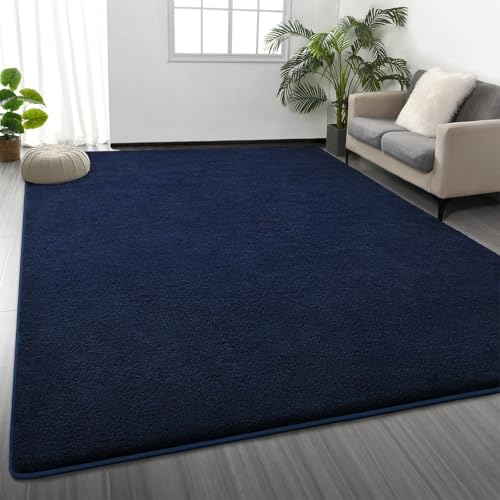Large Area Rugs for Living Room Bedroom, 6 x 9