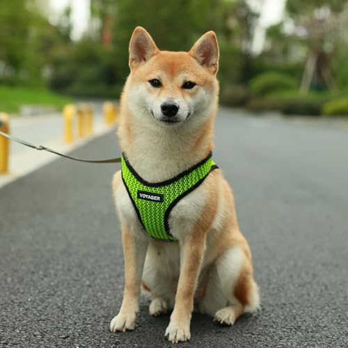 Image of Voyager Step-in Air Dog Harness - All Weather Mesh, Reflective, No Pull Harness for Small, Medium Dogs, Cats - Secure with Hook & Loop Fastener, Buckle, Double D-Rings - Lime Green 2-Tone, XS