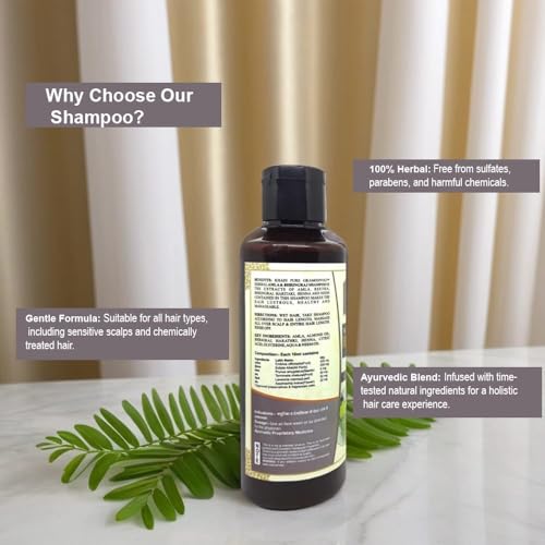 Image of Khadi Pure Herbal Amla & Bhringraj Shampoo /Hair Cleanser, 210 ml (Pack of 2),Black,KPAMLBHRNGRJSHX2