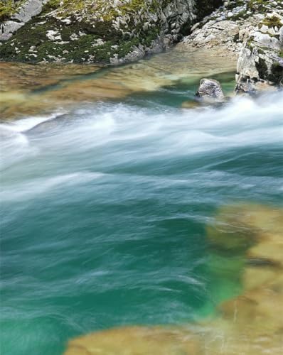 Puzzle 1000 Pezzi, Jigsaw Puzzle per Adulti-Fiume,ruscello,corso 70x50cm