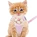 DELORIGIN Cat Harness and Leash Set Adjustable Kitten Harness Cute Floral Pet Clothes Dog Vest Harnesses with Flower Mesh Pet Princess Outfits for Small Dogs Cats Puppy Outdoor Walking, Pink