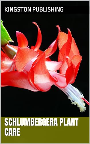 Schlumbergera Plant Care (Healthy Gardens)