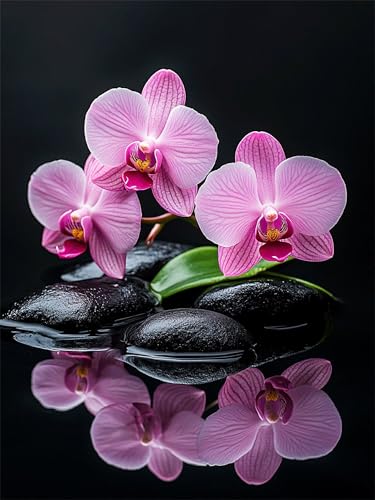 Peinture numéro orchidée : le cadeau loisirs créatifs idéal en grand format