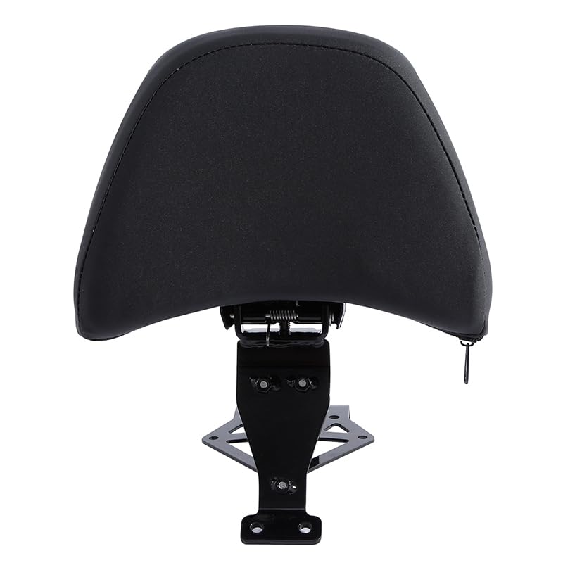 Dossier pilote pour Honda Goldwing GL1800 2018-2023 amovible