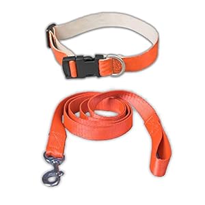 SITSNOOZE Dog Neck Collar Belt and Leash Set | Anti Slip, Lightweight, Everyday Reflective Dog Collar with Adjustable Length |Heavy Duty Collar & Leash Suitable for Training and Walks Color : Orange
