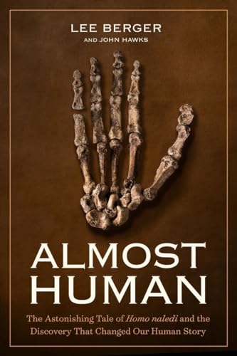 Almost Human view 2
