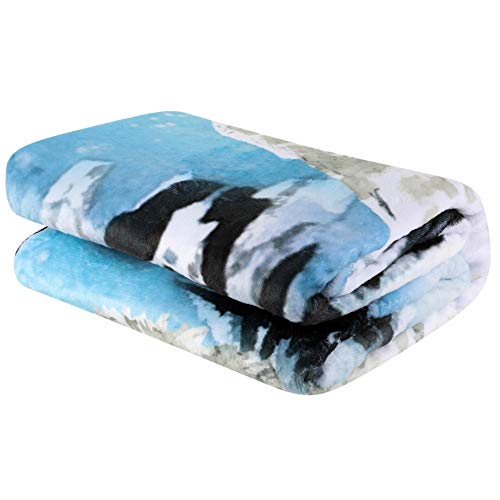 Snow Owl Throw Blanket, Adorable Super-Soft Extra-Large Owl Blanket For Kids, Women, Boys And Girls, Teens, Children, Cute Fleece Owl Blanket (50In X 60In) Warm And Cozy Throw For Bed, Crib Or Couch #TOP5