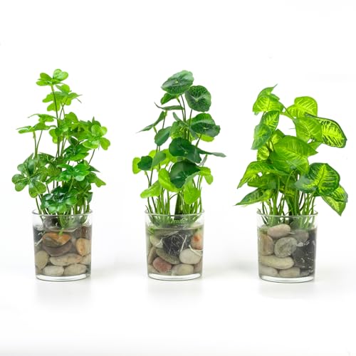 WillingYou 造花 観葉植物 水耕風 ガラスコップ入り 3点セット インテリアグリーン フェイクグリーン 卓上 観葉植物 おしゃれ 玄関 リビング オフィス 飾り 手入れ不要 ギフト対応 ワンオーダーで複数装飾