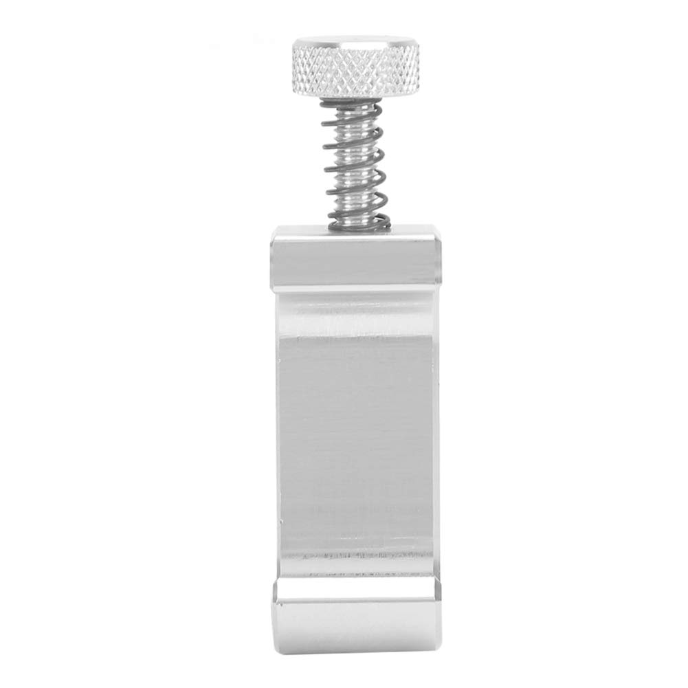 Morsetto per Portapacchi Vespa, Gancio per Portapacchi Posteriore per Moto Adatto per Vespa GTS 250 300 Argento (SILVER)