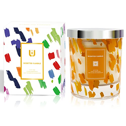 Haoson Blackberry & Mango Scented Candle Gift Set In Glass Jar Natural Soy Wax Aromatherapy Stress Relief Candle For Women Home Mother Day Christmas #TOP6