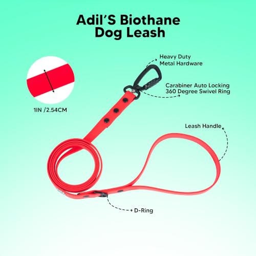 Image of Adil's Biothane Waterproof Dog Collar, Dog Leash & Collar Leash Combo | Heavy Duty TPU Coated Webbing | Adjustable Quick Release Buckle | Odour Resistant (Red, L-22, Leash Only)