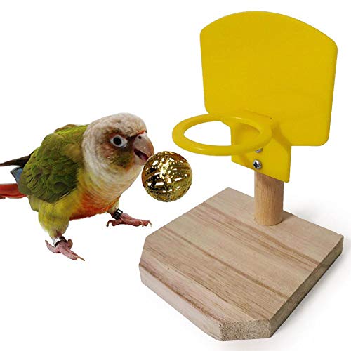 Knowled Vogel-baseball-speelgoed, vogel kauwbal foraging speelgoed, parrot activiteit speelgoed, vogel training gym… - Image 6