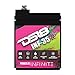 DS18 INF-35AH 1250 Watts AGM Power Cell 12 Volt Battery Maintenance Free - High Performance for Car Audio, Motorsports, Motorcycle, Jet Ski, ATV & UTV