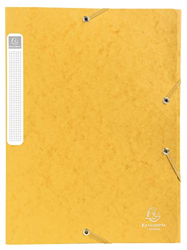 Exacompta 14006H - Carpeta de proyecto con goma, color amarillo