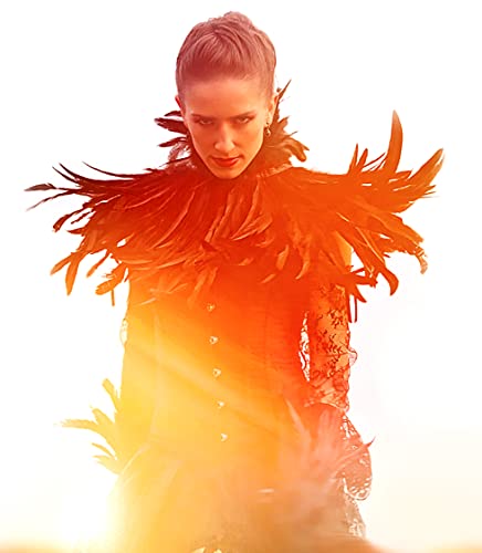 L'VOW Women's Real Nature Feather Shrug Cape Lace Shawl Collar Witch Cosplay Costumes for Halloween Carnival4