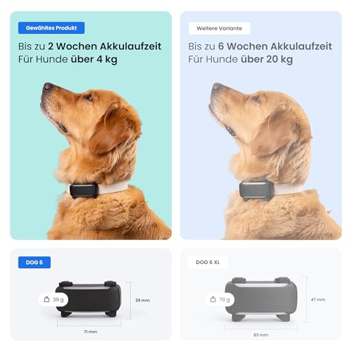 Tractive GPS Tracker Hund | 2025 Edition | Live-Ortung | Weglaufalarm | Aktivitätstracking | Gesundheitswarnungen | Bellverhalten | Empfohlen von Martin Rütter (Schwarz)