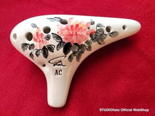 tH[JNIJi `V[Y\vmCǁi1Cj ()