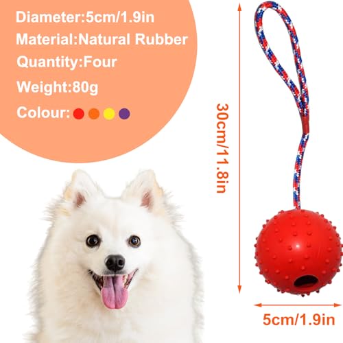 AUTOWNLUX 4 Stück Hundespielzeug Ball mit Schnur, ø 5/30 cm Hundespielzeug Ball Hund am Seil Naturkautschuk, Hundebälle Kleine (Rot, Gelb, Lila, Orange)