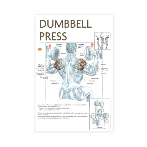 Haltère presse épaule diagramme d'exercices affiche pour corriger votre posture de musculation
