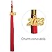 GraduationMall Unisex Adult Matte Graduation Cap with 2024 Tassel Red