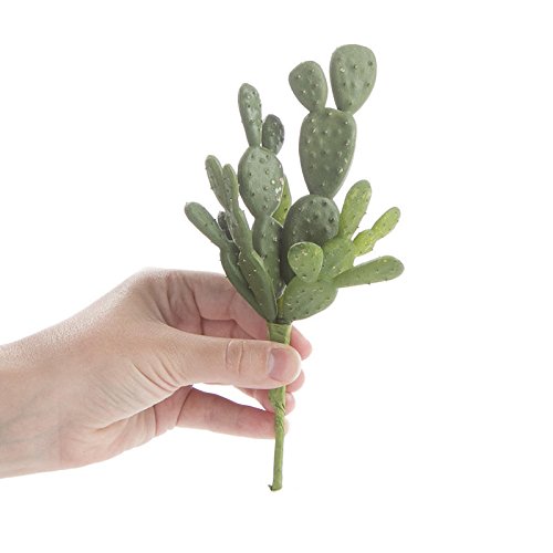 Factory Direct Craft Pair of Artificial Beautertia Cactus Plant Picks for Crafting, Arranging and Embellishing