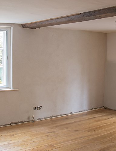 Dryzone Hi-Lime Renovation Plaster 20kg – Breathable Natural Lime Plaster for Damp Walls, Controls Salt Migration, Suitable for Traditional & Older Buildings