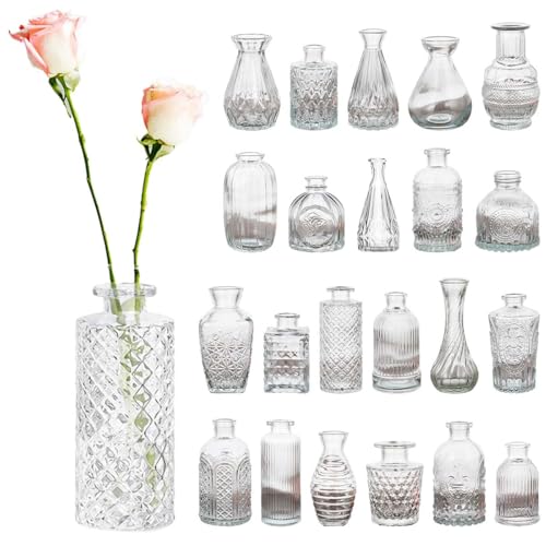 iikuru ԕr  22 Zbg t[x[X KX  ֑}