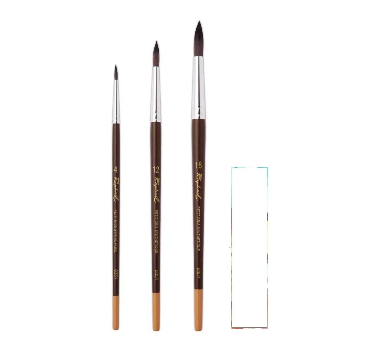 Pinceau Raphael Aquarelle Petit Gris en set de 3 pour peindre vos carnets de voyage