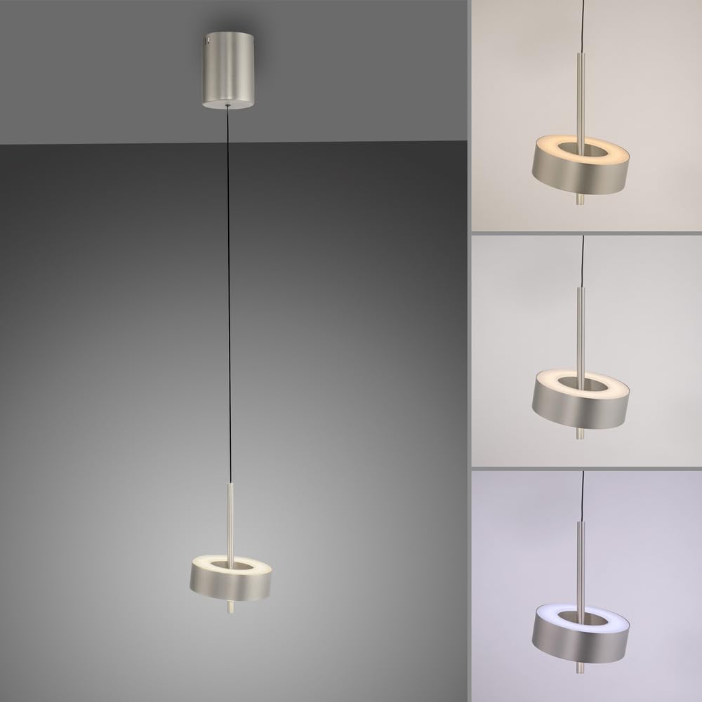 Paul Neuhaus LED Pendelleuchte Smart Home, Aluminium, 1-flammig | dimmbar, höhenverstellbar Comfort Lift, Kopf schwenkbar, CCT warmweiß – kaltweiß, Fernbedienung