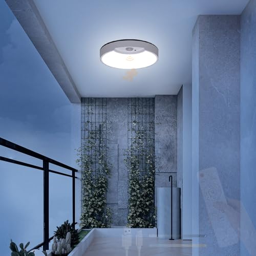 Lampe de plafond LED intérieur rechargeable avec variateur pour couloir sombre