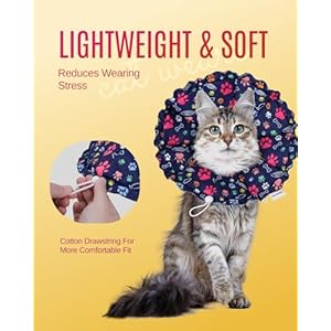 FAYOGOO Cat Cone Collar Soft – Adjustable Cat Recovery Collar After Surgery – Waterproof Soft Cone for Cats to Stop Licking