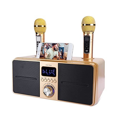 Máquina de karaokê para Adultos, Crianças, Sistema de Alto-falantes Bluetooth Recarregável, 2 Microf