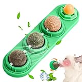 Catnip Toys | 4 Pieces Catnip Chew Wall-Mounted Ball | Cat Teeth Cleaning for Cleaning Scratching Exercise Entertainment Mental Training Home Indoor Travel