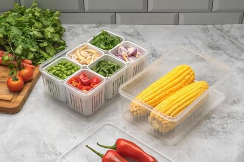 Image of DERIKO Airtight Masala Box For Kitchen Masala Container For Kitchen Spice Jars Multi Storage Container For Kitchens Easy Flow Spice Storage Container With Tray Spice Jars - Plastic (6 Grid Container)
