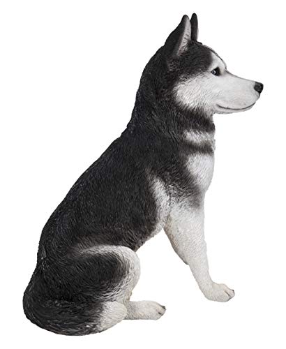 Estatua grande de Husky Siberiano negro y blanco miniatura 4