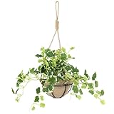 DORIS ドリス フェイクグリーン 空気清浄 消臭 抗菌 室内 グリーン 水やり不要 壁掛け オフィス 人工植物 フェイク グリーン ハンギングポリシャス43cm 【17538】