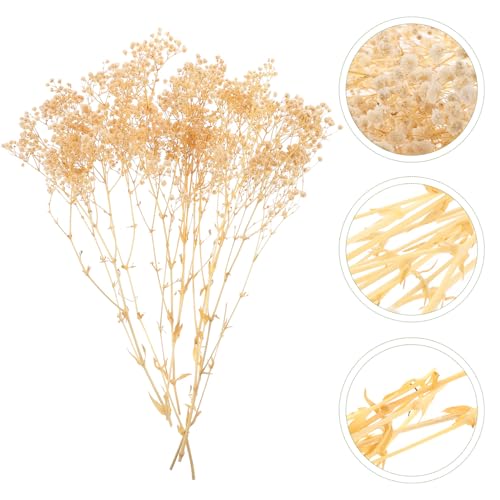 Ramo de flores secas Babysbreath blanco para decoración miniatura 4