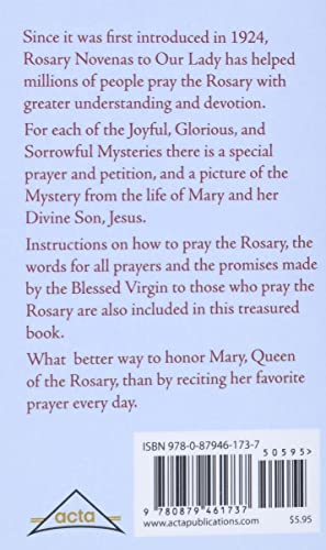Alternative view of Rosary Novenas to Our Lady