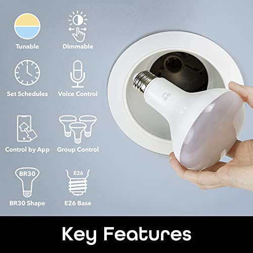 Image of Geeni LUX Drop Wi-Fi LED Light Bulb, Tunable White (2700K-6500K), 1-Pack | Dimmable BR30 bulb, 65-watt equivalent, no hub required, works with Amazon Alexa, Google Home