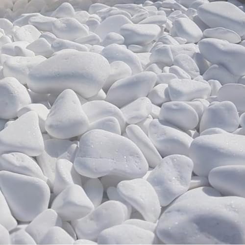 V-PREMIUM SOLUTION Galets blancs 5 kg - Pierres décoratives blanches neige pour décoration de jardin, chemins, pots de fleurs et intérieur - 2-4 cm - Thassos