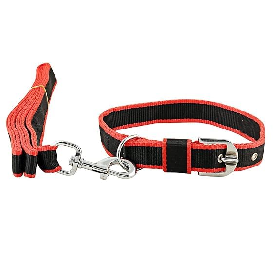 Eqous International Dog Belt Combo of Dog Collar with Dog Leash Specially for Medium Breeds Dog Collar Leash (B09YLZRK86) Amazon Price History, Amazon Price Tracker