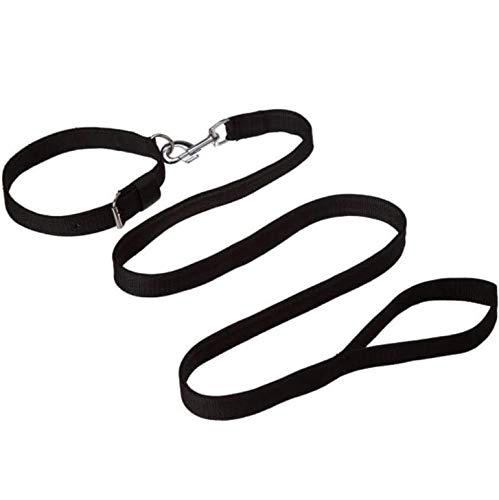D&C Paws 1/2 Inch Collar and Leash Set Dog & Cat Medium Black (B08NWRDHR3) Amazon Price History, Amazon Price Tracker