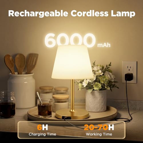 Image of 2 Pack Shower Lamp Waterproof, 6000mAh & 3 Color Temps and Stepless Dimming